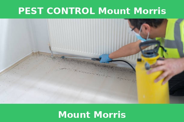 PEST CONTROL Mount Morris